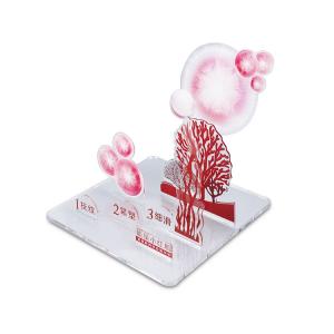 Custom Design Unique Beauty Product Display Rack China Manufacturer