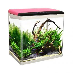 Fish tank aquarium in stock with best price China Manufacturer