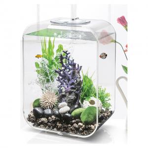 Decorative Custom All Accessories Equiped Acrylic Aquarium