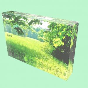 Customize Multi Color UV Printed Plexiglass Souvenir